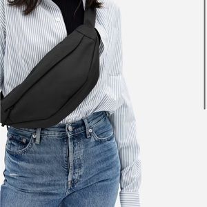 Everlane Transit Fannypack Belt Bag